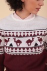 winter camel jumper