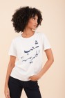 t-shirt harissa