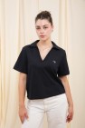 polo v shems