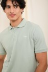 polo palm